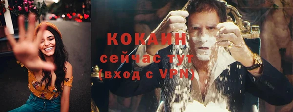 индика Гусь-Хрустальный