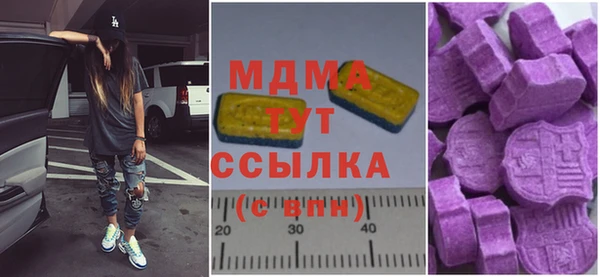 индика Гусь-Хрустальный