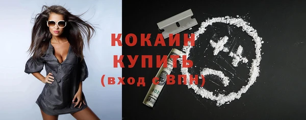индика Гусь-Хрустальный