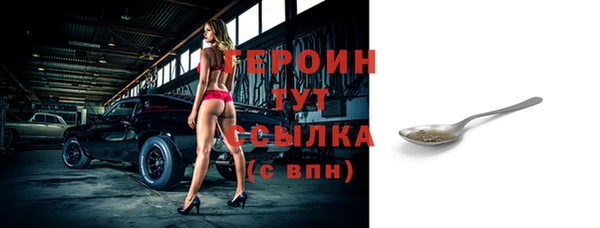 индика Гусь-Хрустальный