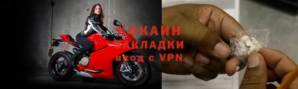 эйфоретик Гусев