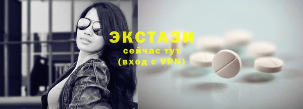 индика Гусь-Хрустальный