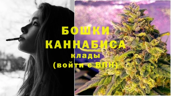 эйфоретик Гусев