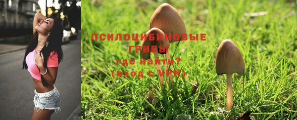 не бодяженный Дмитров