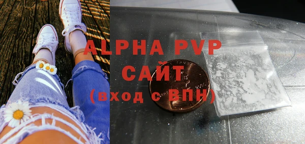 apvp Гусиноозёрск
