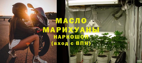 индика Гусь-Хрустальный