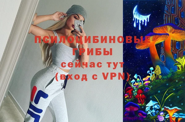 не бодяженный Дмитров