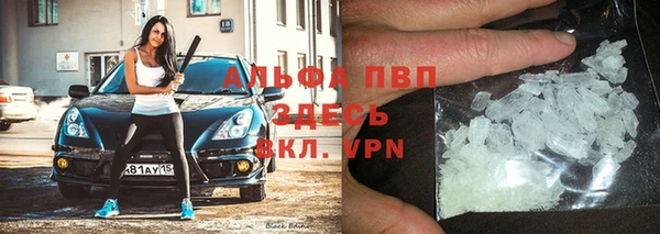 эйфоретик Гусев