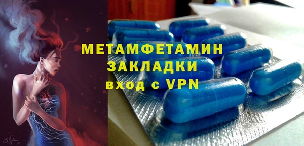 индика Гусь-Хрустальный