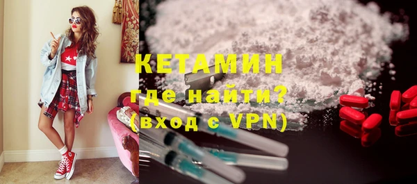 индика Гусь-Хрустальный