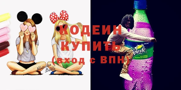 apvp Гусиноозёрск