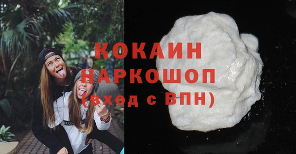индика Гусь-Хрустальный
