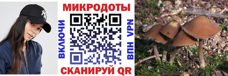Псилоцибиновые грибы Psilocybine cubensis  закладки  Звенигород 